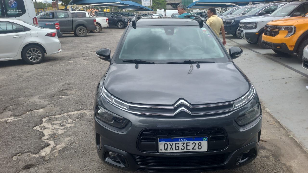 C4 cactus
